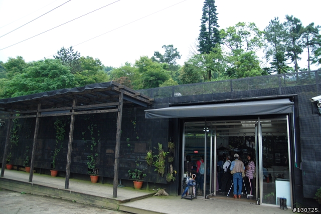 [三峽]桐花來了竹崙路+三層坪+熊空休閒農場