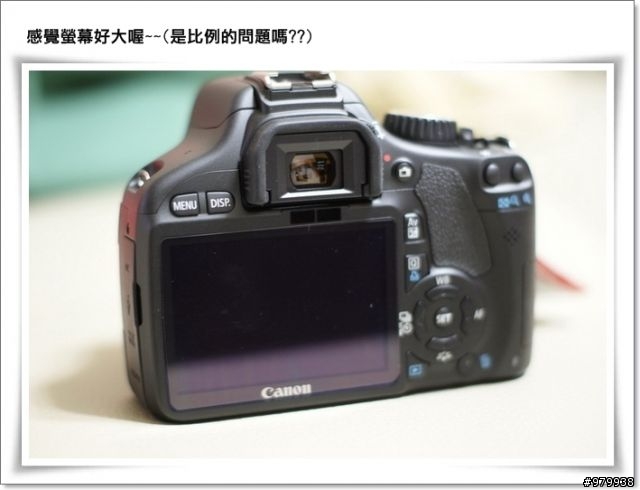 哇哈哈...我也有單眼了(CANON 550D)- 增加拍出照片4張