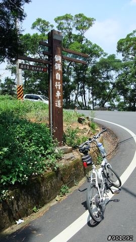 苗栗 三義 銅鑼 油桐花騎跡 (圖多)