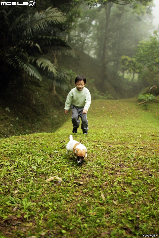 傑克羅素梗-------傳說中的飛盤狗