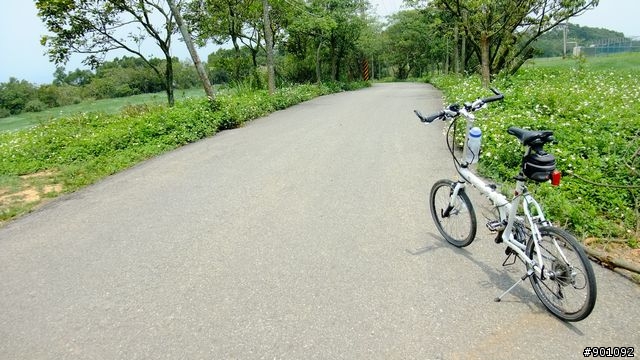 苗栗 三義 銅鑼 油桐花騎跡 (圖多)