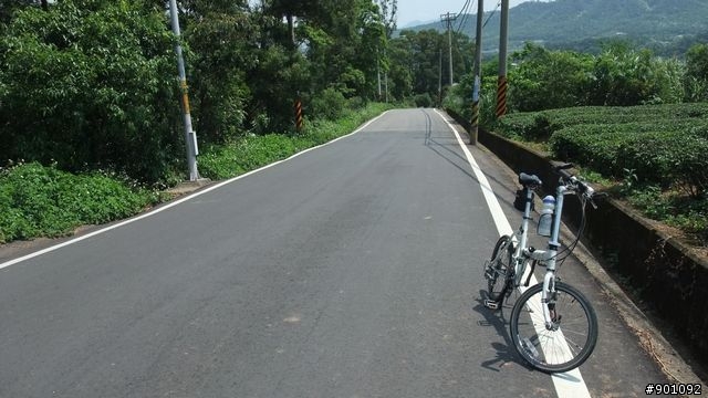 苗栗 三義 銅鑼 油桐花騎跡 (圖多)