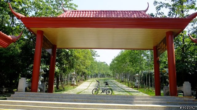 苗栗 三義 銅鑼 油桐花騎跡 (圖多)