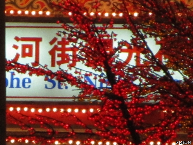 蓋大樓吧!!!資訊展SX210入手~(新增相機包)