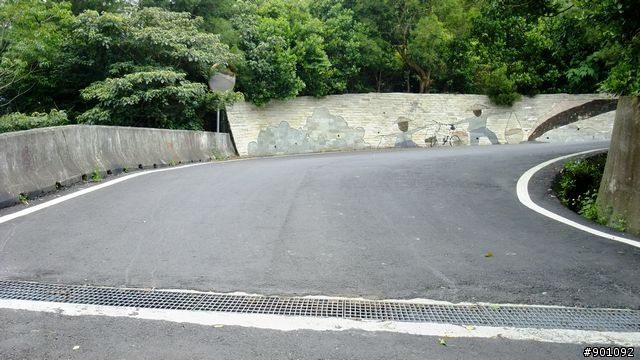 苗栗 三義 銅鑼 油桐花騎跡 (圖多)