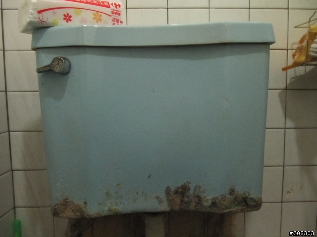 這個馬桶水箱還有救嗎??[有圖,但有點噁心.....慎入]