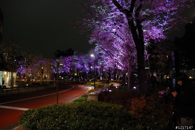 東京自由行9天8夜分享文(更新至Day3)