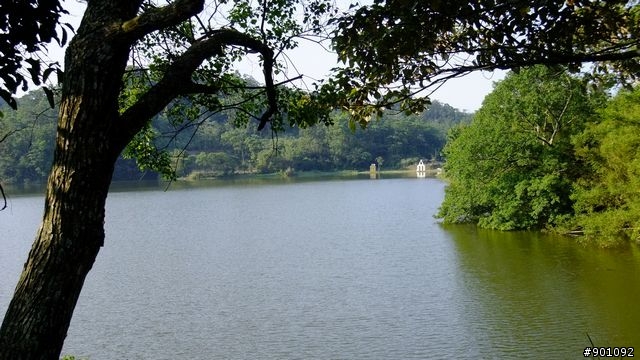 苗栗 三義 銅鑼 油桐花騎跡 (圖多)