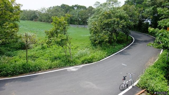 苗栗 三義 銅鑼 油桐花騎跡 (圖多)