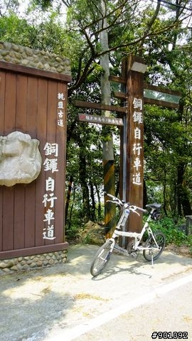 苗栗 三義 銅鑼 油桐花騎跡 (圖多)