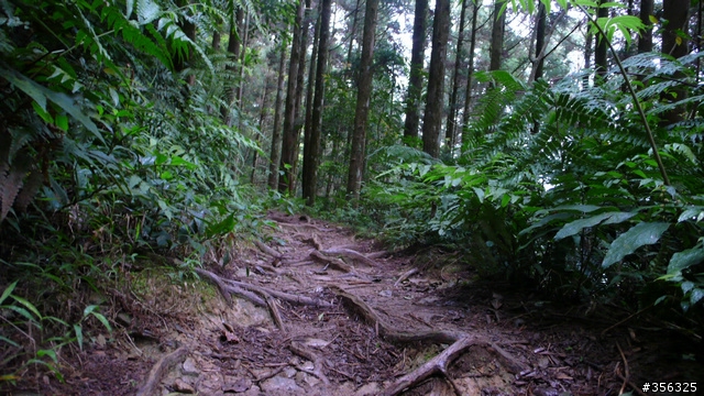 [遊記] 烏來雨中單車越野樂....卡拉莫基步道+哈盆越嶺古道(半程)