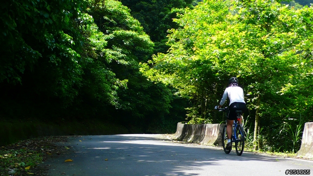 [遊記] 我們的藍鵲公路.........北43/北42