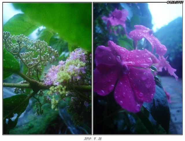 《2010.4.25~4.29》─【一段五天四夜的流浪】