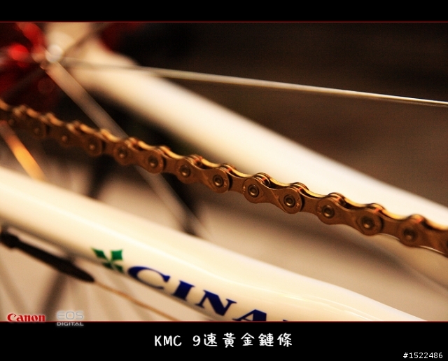 我的自組入門公路車 雖然他不高檔