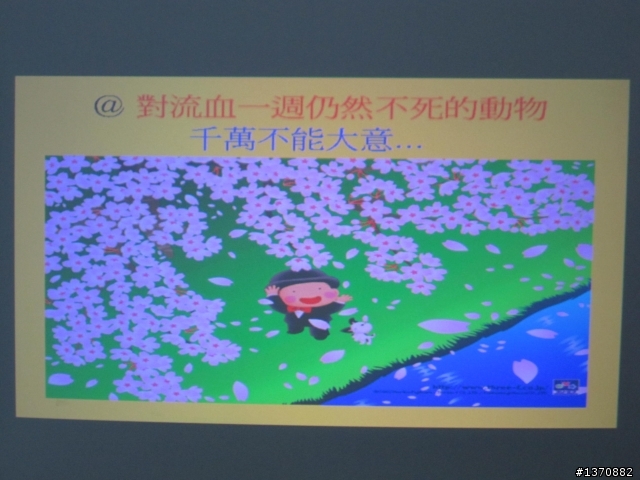 [開箱文]微型投影機進階版OPTOMA PK301