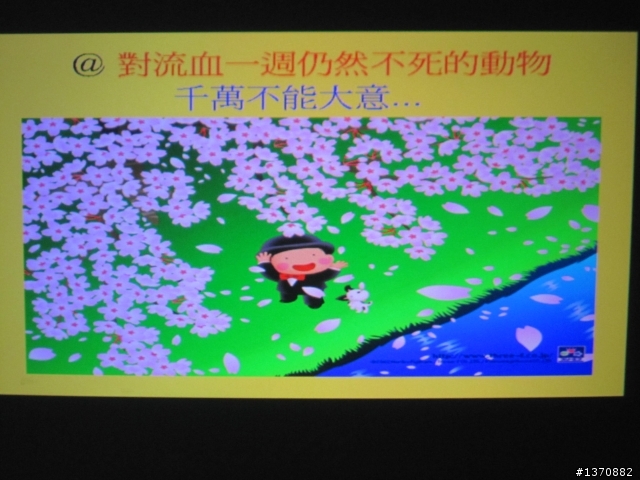 [開箱文]微型投影機進階版OPTOMA PK301