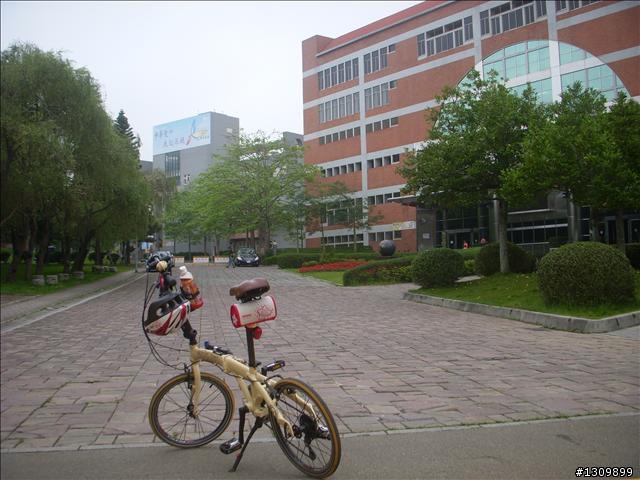 2010全國自行車日515在新竹