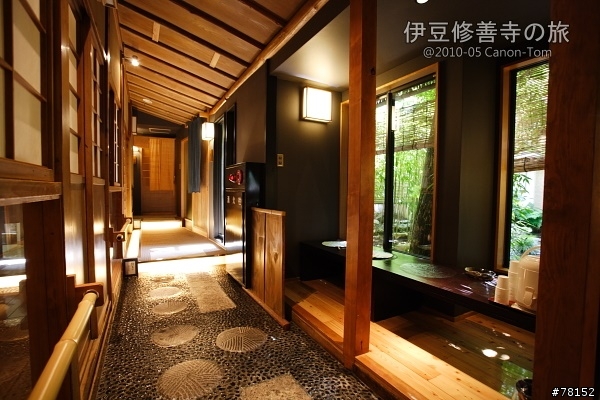 (分享東京近郊景點,圖文多)2010河口湖芝櫻祭+伊豆修善寺虹之鄉之旅