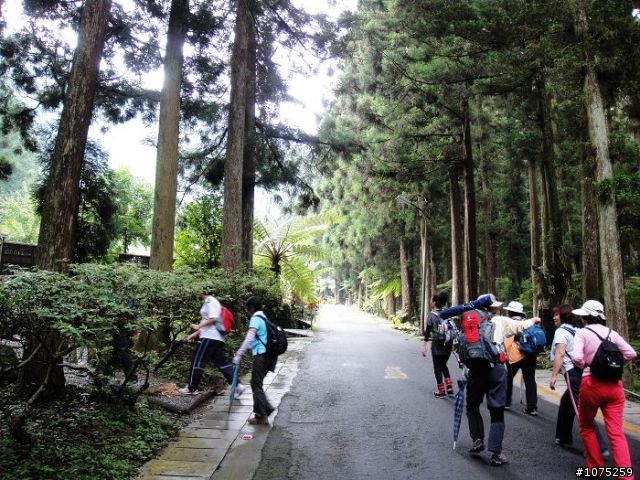 (照片)20100508溪頭天文台登山健行