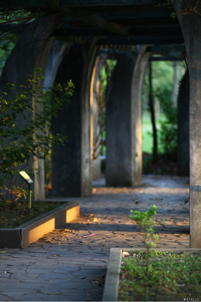 當5d2 遇上 contax c/y 135F2 德鏡