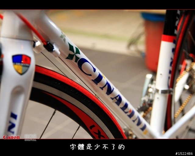 我的自組入門公路車 雖然他不高檔