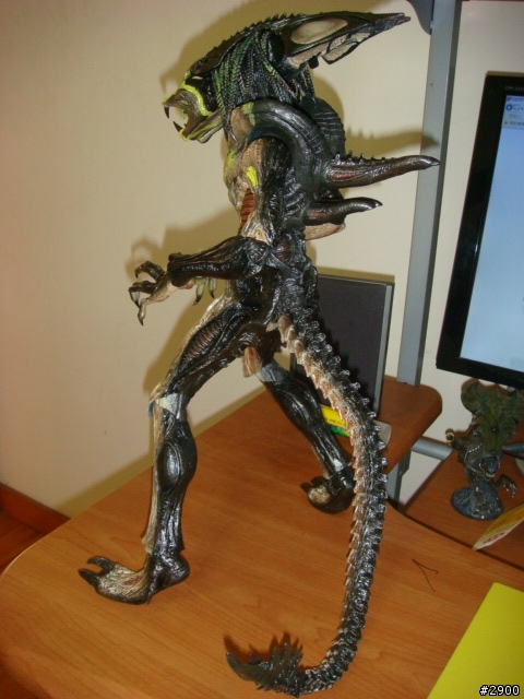 HOT TOYS 1/6比例日本限定完全版BOX AVP2 戰損終極異形