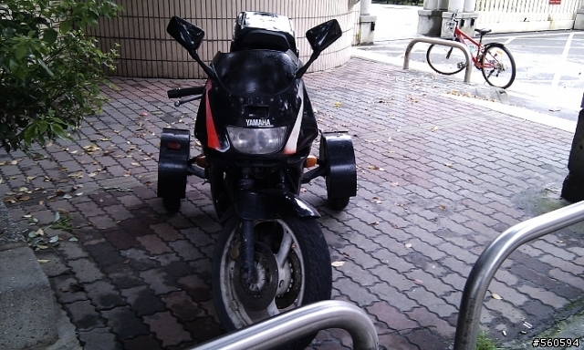 老年FZR