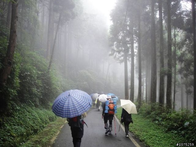 (照片)20100508溪頭天文台登山健行