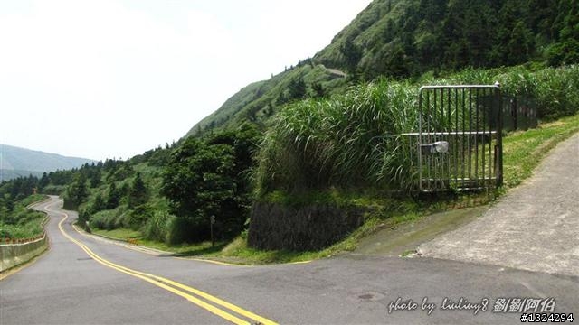 陽明山蝴蝶季搶先看(大屯山、二子坪、冷水坑)