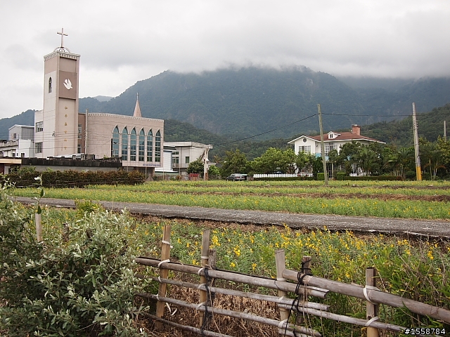 Tikit 玉長公路之旅