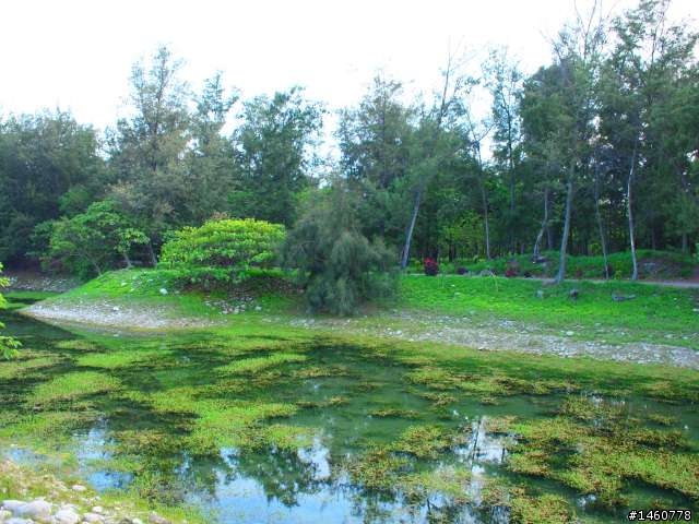台東琵琶湖外拍 EP-1
