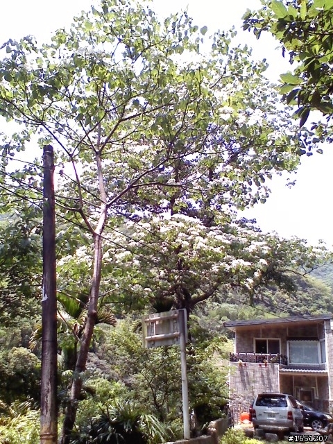 從新店出發..一日遊 烏來 及 石碇