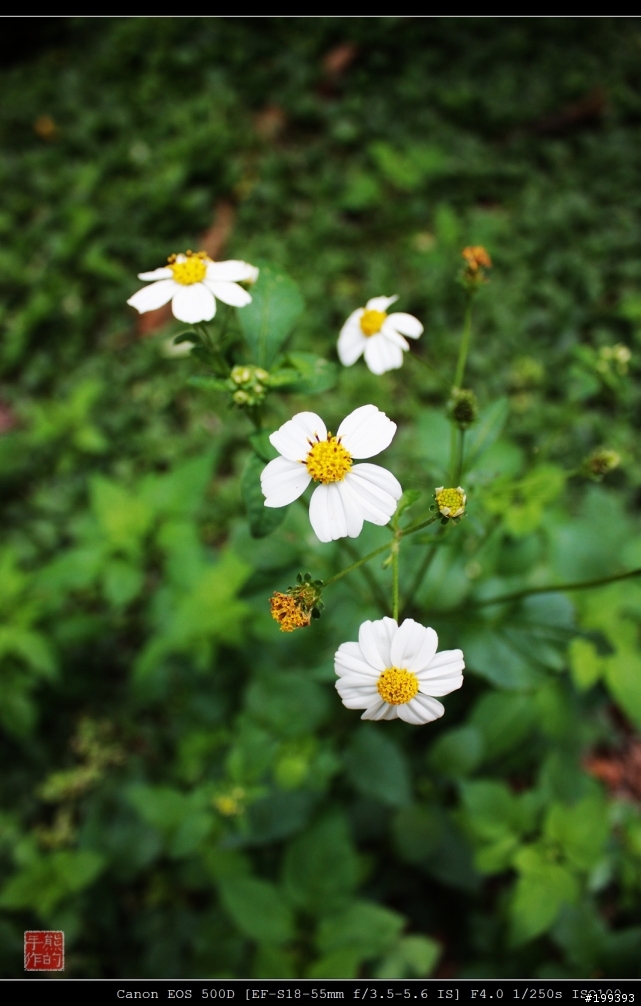 感覺遇到瓶頸了............還是請狠批