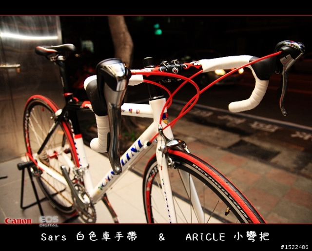 我的自組入門公路車 雖然他不高檔