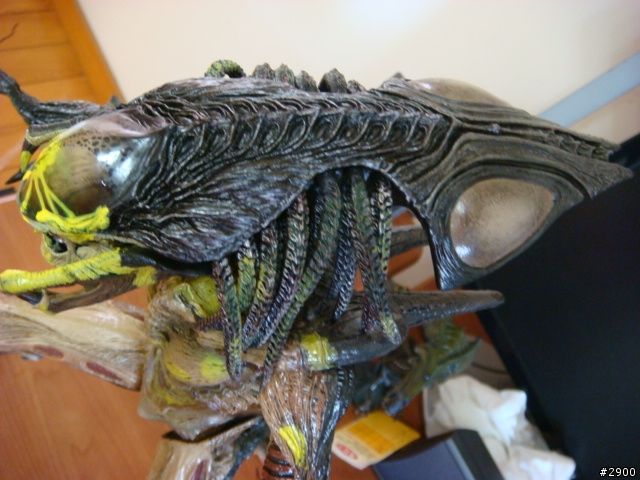 HOT TOYS 1/6比例日本限定完全版BOX AVP2 戰損終極異形