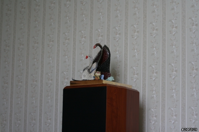 [業餘開箱文]SIGMA 70-300MM F4-5.6 DG OS