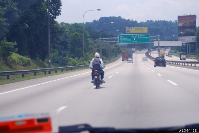 little cub on highway