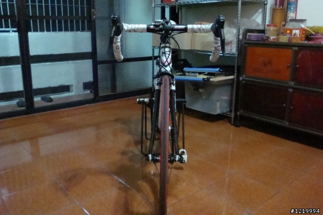 滿足私慾之女王專用公路車