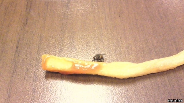 蒼蠅愛蕃茄醬!!!薯條不愛!!!