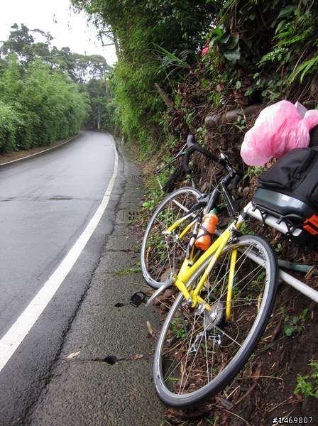 [新手首發]雨霧中的陽明山之旅:石牌-陽明山-金山-淡水