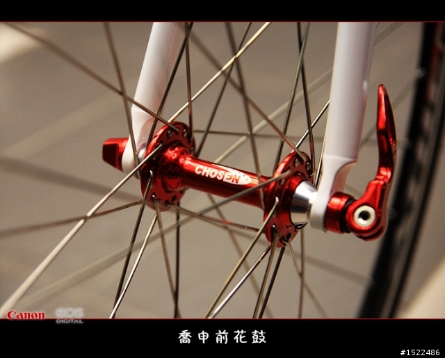 我的自組入門公路車 雖然他不高檔