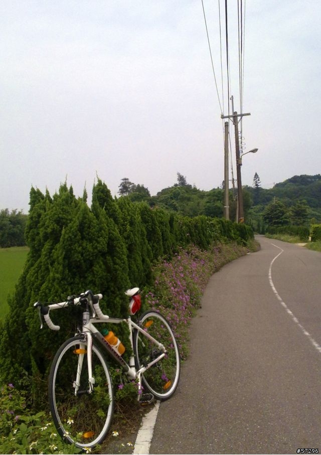 『紀念』單日破百！