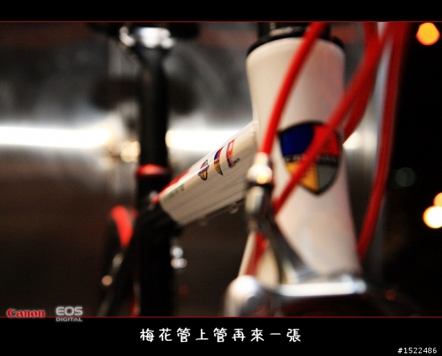我的自組入門公路車 雖然他不高檔