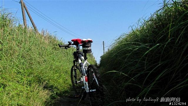 陽明山蝴蝶季搶先看(大屯山、二子坪、冷水坑)