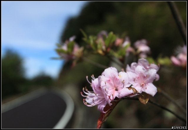 感覺遇到瓶頸了............還是請狠批