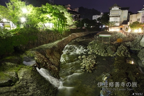 (分享東京近郊景點,圖文多)2010河口湖芝櫻祭+伊豆修善寺虹之鄉之旅