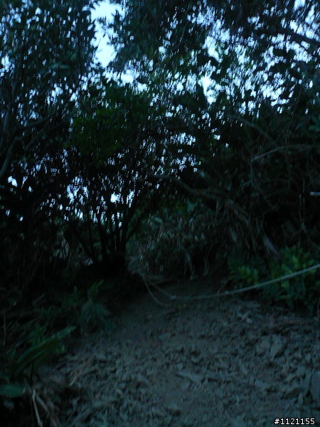 NEVER 雙古行 (浸水營古道+阿郎一古道)