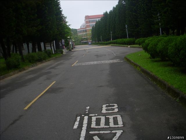 2010全國自行車日515在新竹
