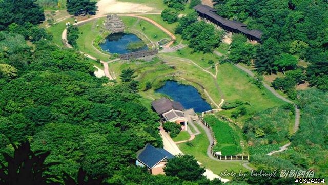 陽明山蝴蝶季搶先看(大屯山、二子坪、冷水坑)
