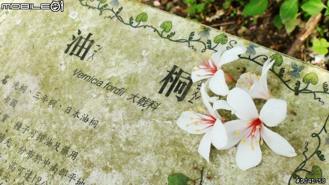 請求推薦16:9單眼